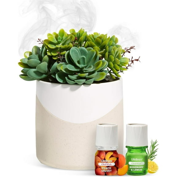 Lifelines Succulent Plant Diffuser Bundle with 2 Clickwick Essential Oil Blends, Two-Toned Modern Planter