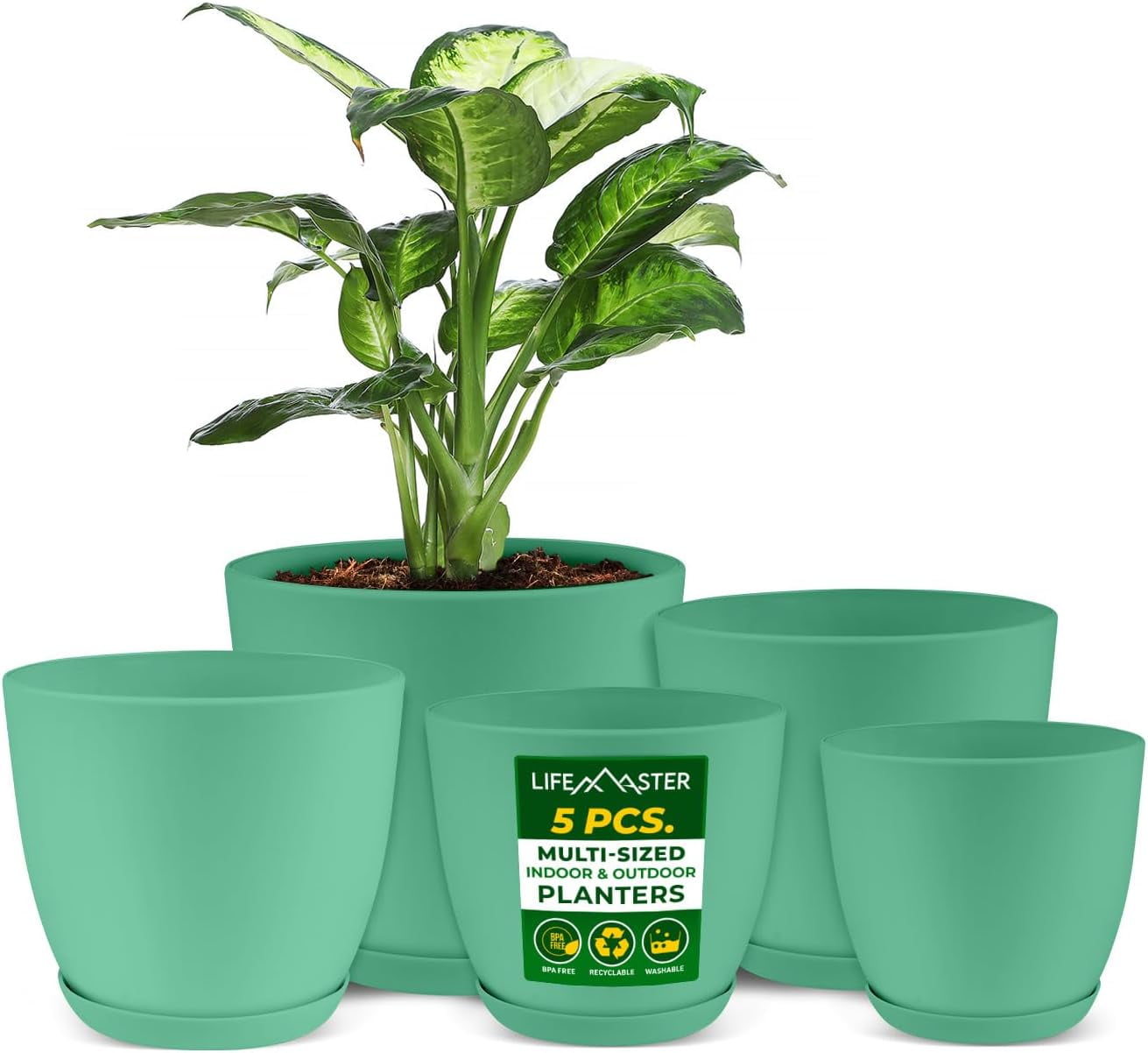 mister plants Plant Mister Spray Bottle - Gift Add-On