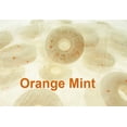 thumbnail image 1 of Lifesavers 8oz Orange Mint Hard Candy Individually wrapped  Half Pound sweets, 1 of 7