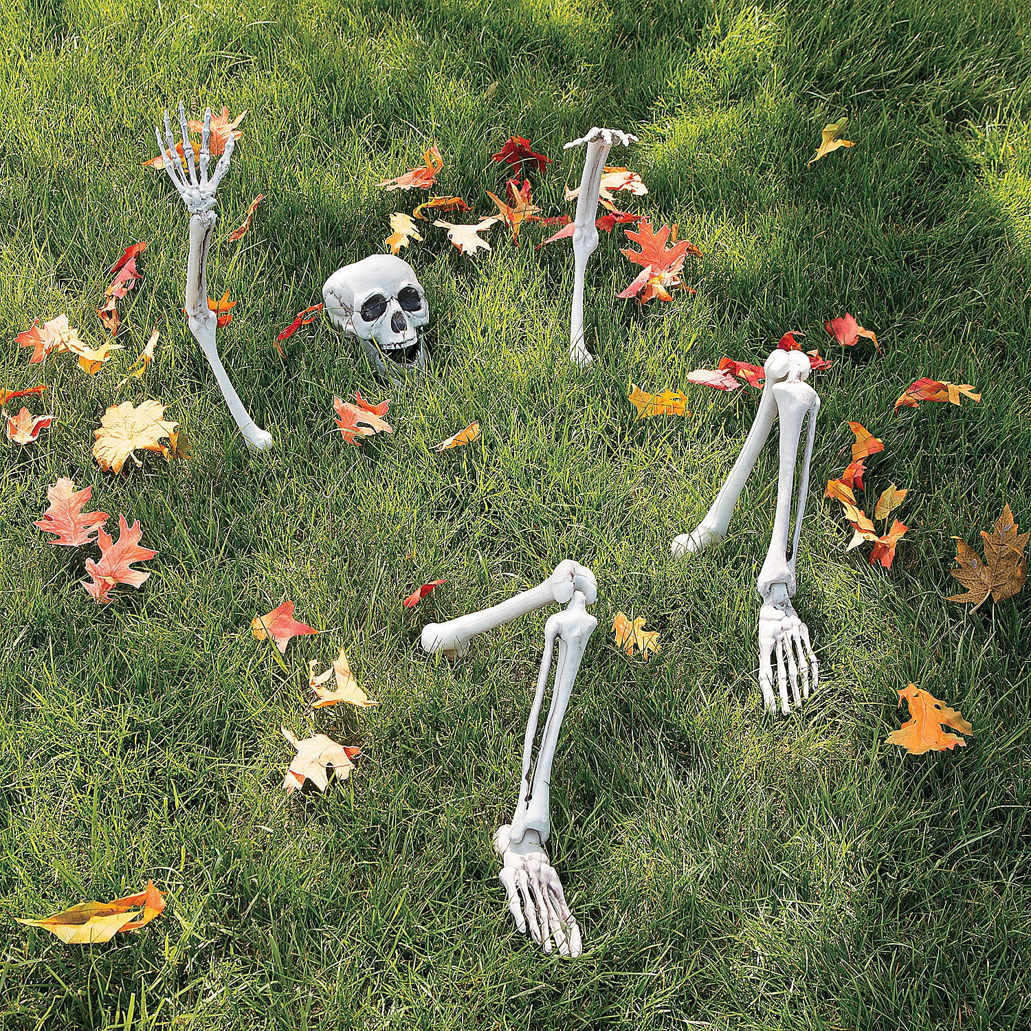 Lifesize Skeleton Yard Decor Home Decor 1 Piece
