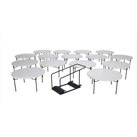 Lifetime Round Table
