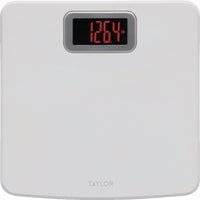 Lifetime Brands Taylor Taylor Bright Digital Bath Scale - Pack of 6 Value Multipack