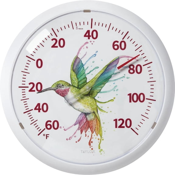 Lifetime Brands Taylor Taylor Image Gallery Hummingbird Dial Outdoor Wall Thermometer - Single Pack