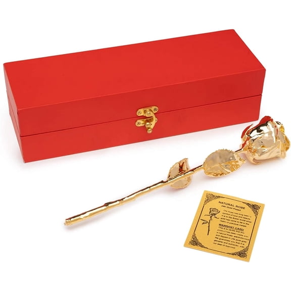 Lifetime Rose Dipped in 24k Gold - Made with a Real Rose for Proposals, Anniversaries, Weddings, and Mother's Day - Made from Real Roses Dipped in Gold to Last Forever
