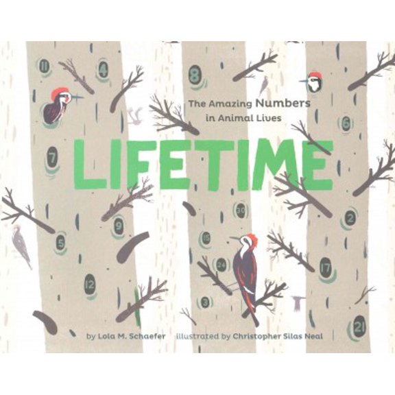 Pre-Owned Lifetime: The Amazing Numbers in Animal Lives (Paperback) 1452152101 9781452152103