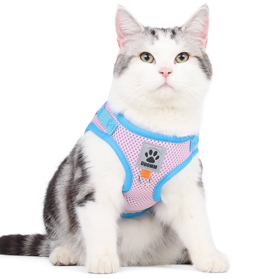 Lifeuping Pet Cat Harness and Leash Set for Walking Escape Proof, Easy Control Outdoor Jacket, Adjustable Reflective Breathable Soft Air Mesh Vest Orange pink XL (for 16.5-22 lb)