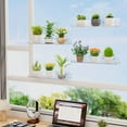 thumbnail image 1 of Lifewit Window Plant Floating Shelves 15 inch, 3 Pack Acrylic Suction Cup Shelf, Window Sill Extender for Indoor Succulent Plants, Micro Greens, Seed Starter Pots, Herb Planters, 1 of 8