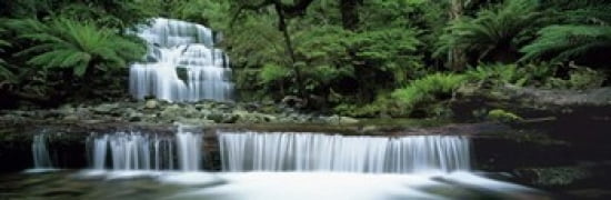 Liffey Falls Tasmania Australia Canvas Art - Panoramic Images (36 x 12)