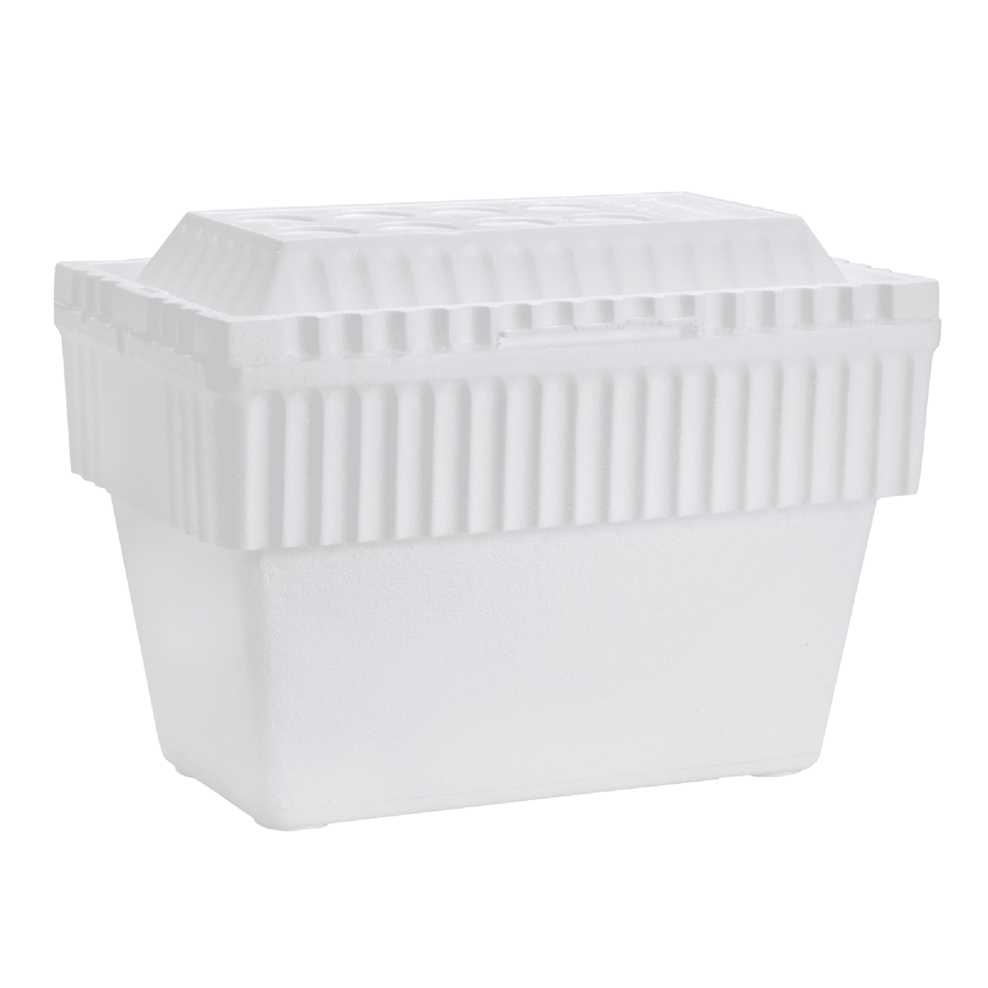 15x13x12 White Styrofoam Cooler w/ 2 Pharmatuff Ice Packs