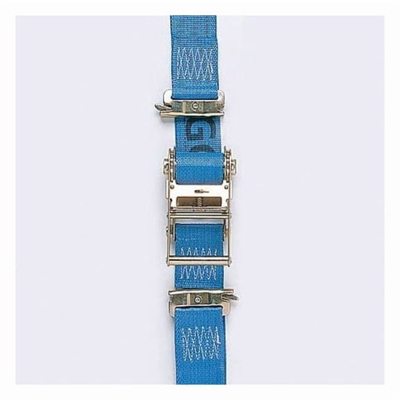 Lift-All Logistic Cam Buckle Strap,20ftx2In,800lb 60807