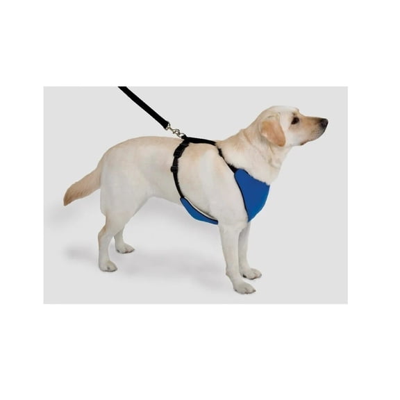 Lift Assistance Adjustable Dog Harness 4 in 1 Limited Mobility Canine Support (XLarge)