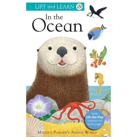 Lift & Learn: Lift and Learn: In the Ocean (Board Book)