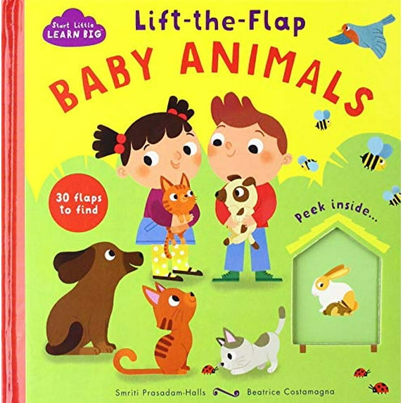 Pre-Owned Lift-The-Flap Baby Animals (Unknown) 1680525948 9781680525946