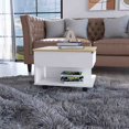 thumbnail image 1 of Lift-Top Coffee Table with Storage, Multicolor, Engineered Wood, Versatile for Living Room or Family Room, 1 of 7