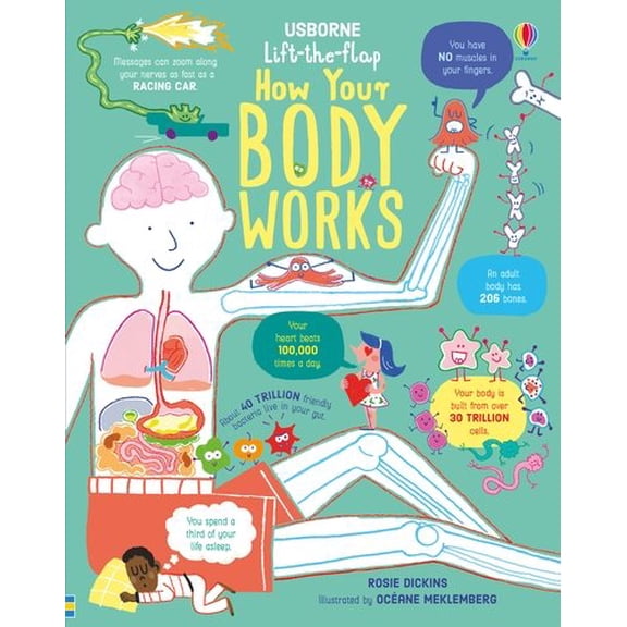 Lift-the-Flap How Your Body Works