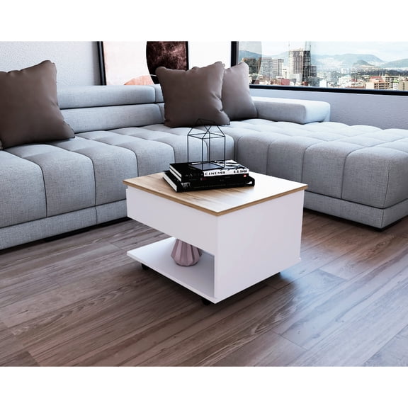 Lift top coffee table with smart locking casters / One shelf and multicolor look