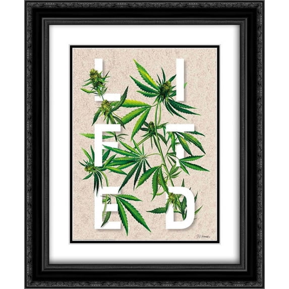 Lifted 2x Matted 20x24 Black Ornate Framed Art Print by Brando, JJ