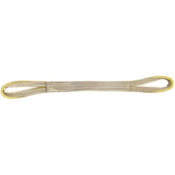 Liftex 439-EN291X8P 1 in. x 8 ft. Endless Pro-Edge Polyester Web Sling - 2 Ply