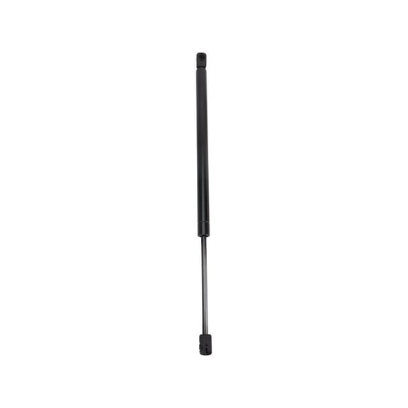 Liftgate Lift Support - Compatible with 2000 - 2007 Ford Focus Hatchback 2001 2002 2003 2004 2005 2006