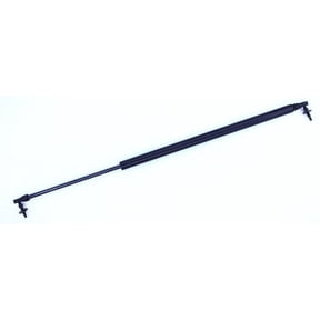 Liftgate Lift Support - Compatible with 2001 - 2007 Dodge Caravan Mini Passenger Van 4-Door 2002 2003 2004 2005 2006