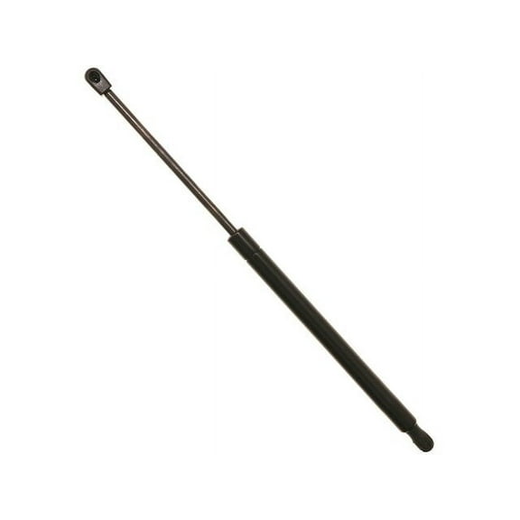 Liftgate Lift Support - Compatible with 2002 - 2009 Chevy Trailblazer 2003 2004 2005 2006 2007 2008