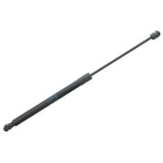 Liftgate Lift Support - Compatible with 2009 - 2017 Audi Q5 2010 2011 2012 2013 2014 2015 2016