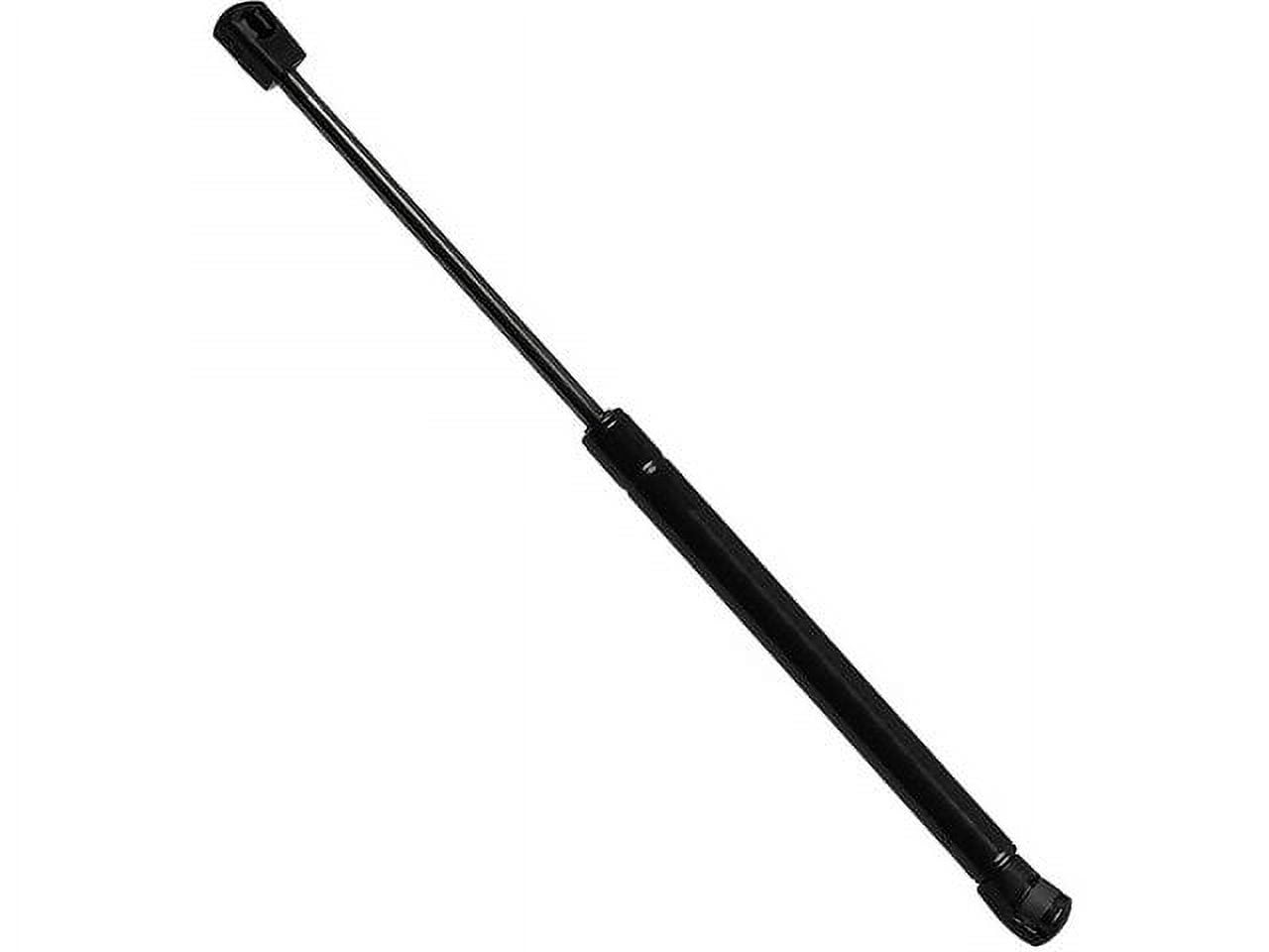 Liftgate Lift Support Compatible with 2011 2020 Toyota Sienna 2012