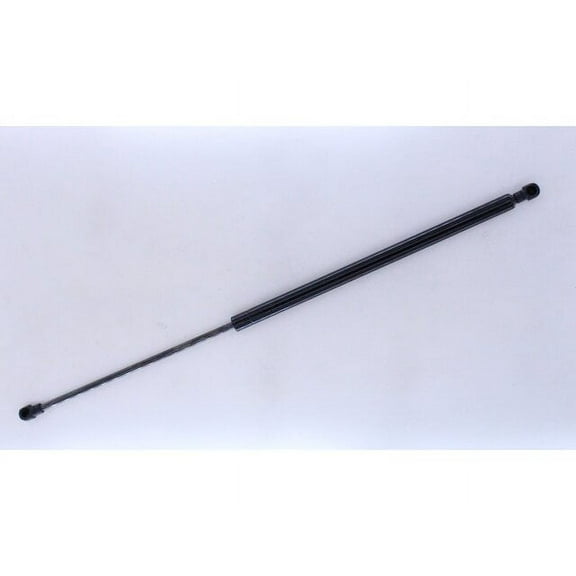 Liftgate Lift Support - Compatible with 2013 - 2018 Buick Encore Sport Utility 4-Door 2014 2015 2016 2017