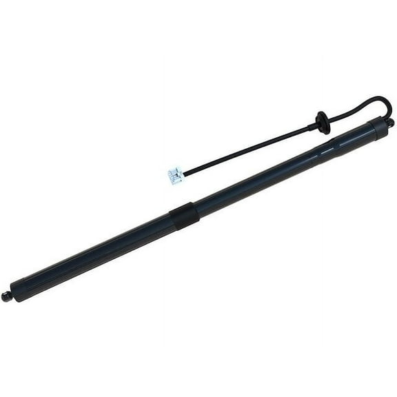 Liftgate Lift Support - Compatible with 2014 - 2020 Nissan Rogue Sport Utility 4-Door 2015 2016 2017 2018 2019