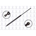 thumbnail image 1 of Focus Auto Parts Hatch Lift Support, 1 of 2