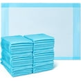 thumbnail image 1 of Light Absorbency Underpad, , Disposable Chucks, Bed, Furniture & Surface Protection, For Kids, Adults, Elderly, Puppy Pad, Changing Pad, Incontinence Pee Pad,Blue Puppy Pads, 1 of 8