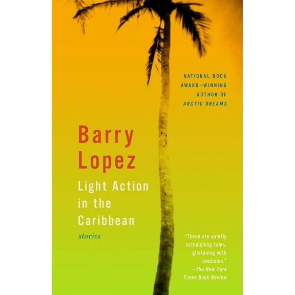Light Action in the Caribbean : Stories (Paperback)