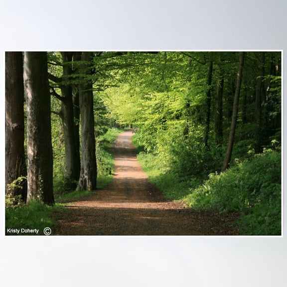 Light And Shadows Poster Wall Art, Modern Wall Decor, 8x12 UNFRAMED