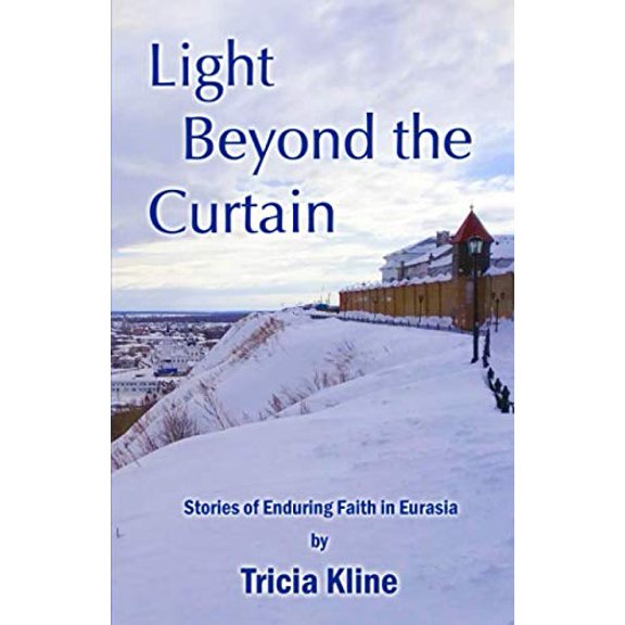 Pre-Owned Light Beyond The Curtain Paperback