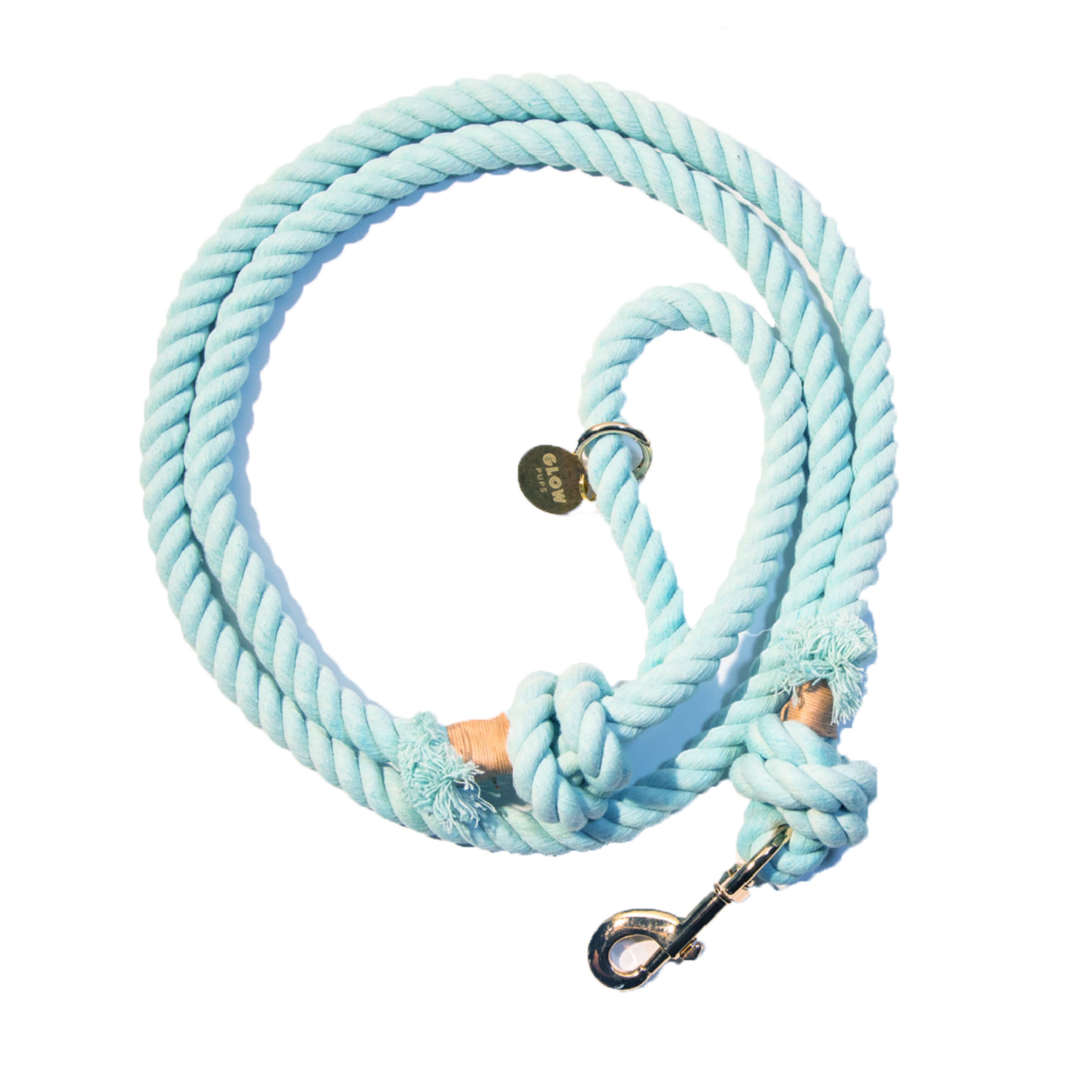Light Blue Rope Dog Leash - Glow Pups