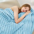 thumbnail image 1 of Light Blue Fleece Throw Blanket for Couch, Super Soft Lightweight Fuzzy Blanket for Couch Bedroom Home Decor, Cozy Fluffy Striped Blanket Gifts for Women Men Girls, 50"×60", 1 of 14