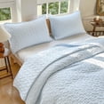 thumbnail image 1 of Light Blue Gingham Queen Quilt Set, Soft Pre-Washed Microfiber Blue Plaid Queen Bedspread, Lightweight Checked Summer Quilt, Grid Bedding Coverlets for All Seasons (Includes 1 Quilt, 2 Pillow Shams), 1 of 7