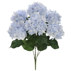 Light Blue Hydrangea Bush by Ashland