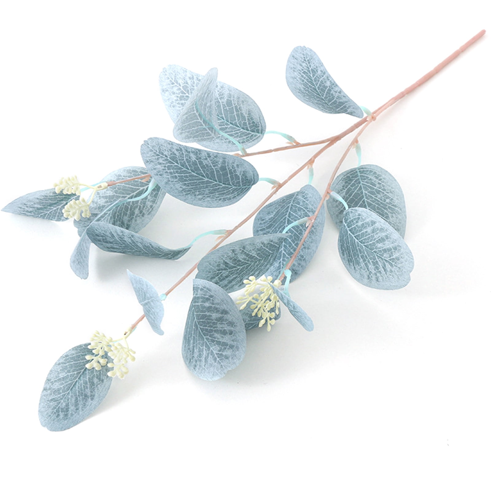 Light Blue Simulation With Fruit Eucalyptus Leaves Morandi Color
