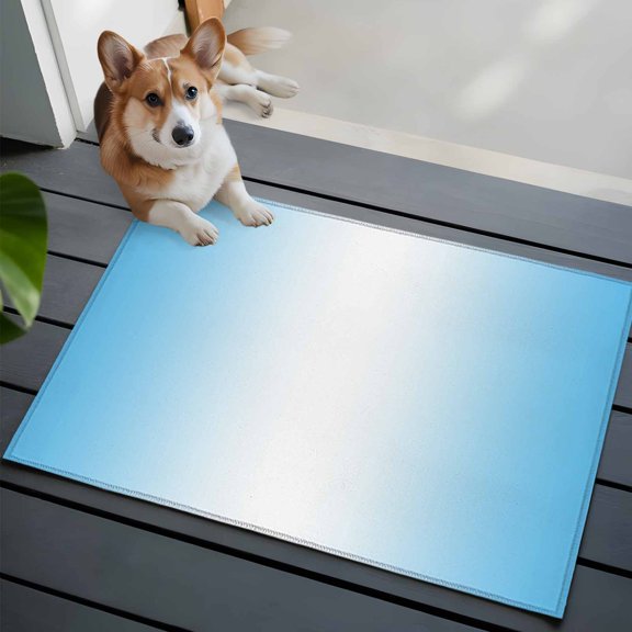 Light Blue Washable Area Rug 2x3 and White Gradient Low-Profile Area Rugs with Non Slip Backing Indoor Floor Carpet for Entrance Living Room Bedroom Home Office