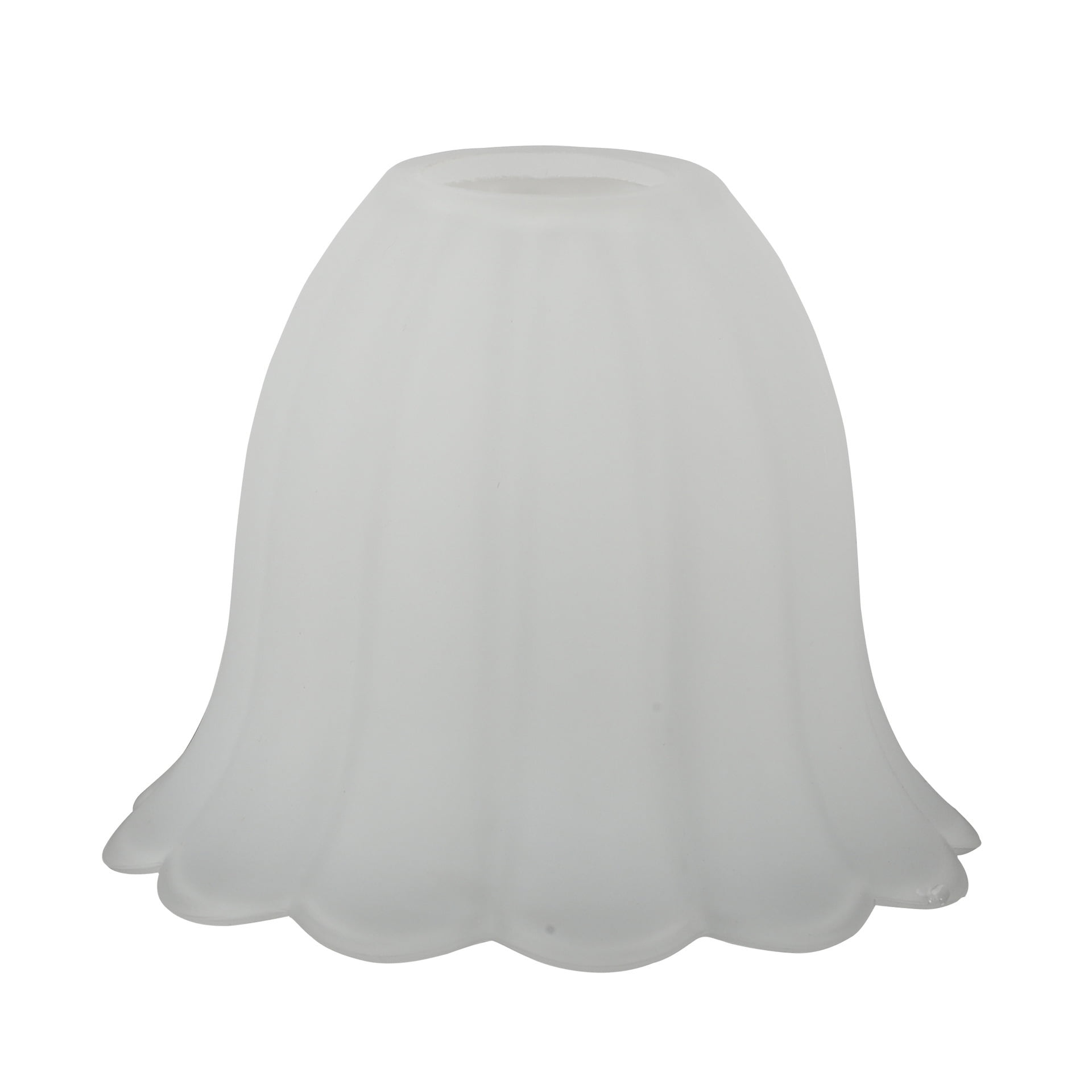 Light Bulb Cover Glass Lamp Guard Flower Shape Light Bulb Cage Pendant