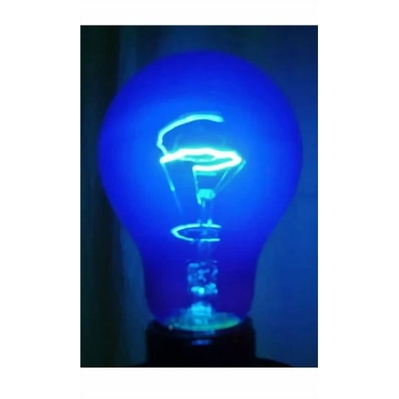 Light Bulbs - A19 Party Light Bulbs - Color Blue. 60W