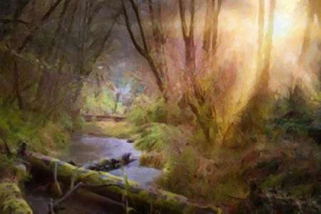 Light Burst Canvas Art - Ramona Murdock (24X36)