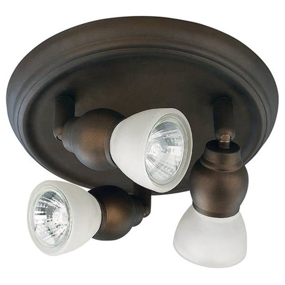 Light Ceil 9in Frstd/amb Orb