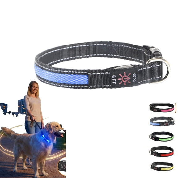 Light Up Dog Collar, 2026 Long-Lasting Power LED Dog Collar Lights for Night Walking, Rechargeable & Adjustable, Waterproof & Safety Glowing Collars for Small Medium and Large Dogs(Blue-S)
