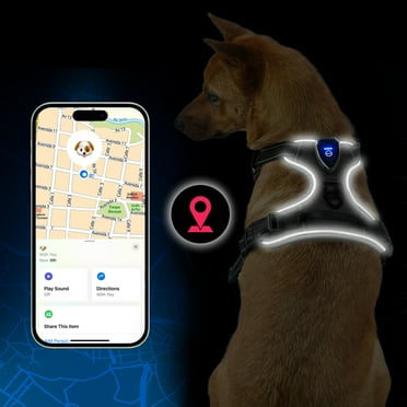 Tracker Dog Harness - Light Up Dog Vest for Night Walks, USB Rechargeable, Fits Small, Medium, and Large Dogs - Small, Black