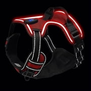 Light Up Dog Harness No Pull Adjustable LED Dog Vest for Night Walks USB Rechargeable for Small Medium Large Dogs - Large, Green