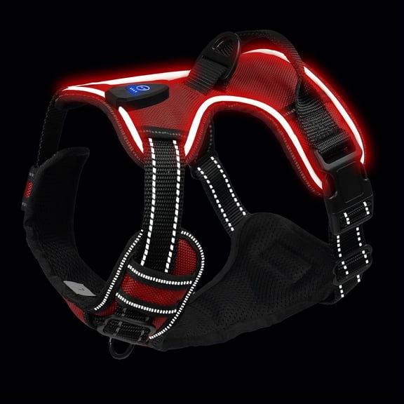 Light Up Dog Harness No Pull Adjustable LED Dog Vest for Night Walks USB Rechargeable for Small Medium Large Dogs - Large, Green