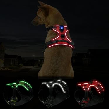 Light Up Dog Harness, No Pull Adjustable Soft Padded LED Dog Vest for Glow-in-the-Dark Night Walking, USB Rechargeable Lighted Safety Vest for Pets - S