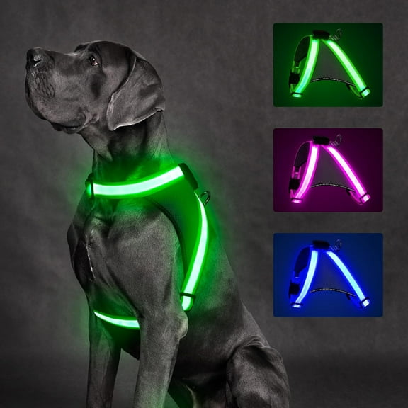 Light Up Dog Harness, No Pull Led Dog Harness Glow-in-The-Dark for Night Walking, USB Rechargeable Lighted Safety Vest for Medium Large Dogs, Adjustable Soft Mesh Fully Illuminated (Green, M)